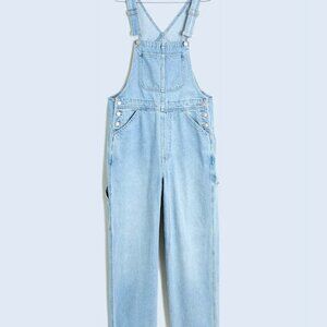 Madewell Denim Oversized Carpenter Overalls